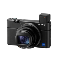Sony Cybershot DSC-RX100 mark VII